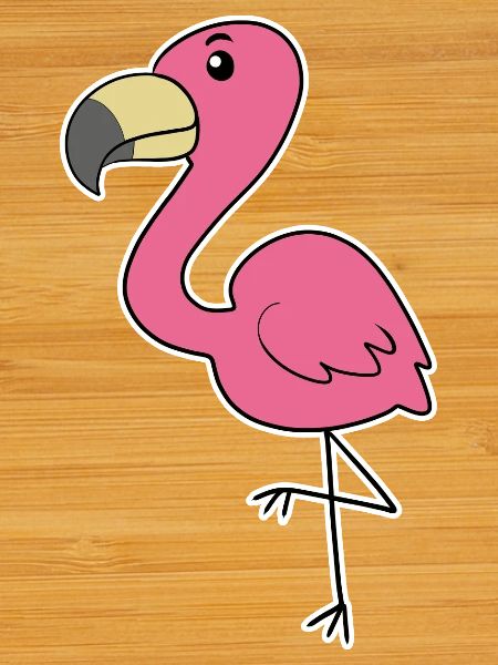 Flamingo