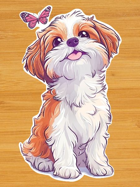 Shih Tzu et papillon