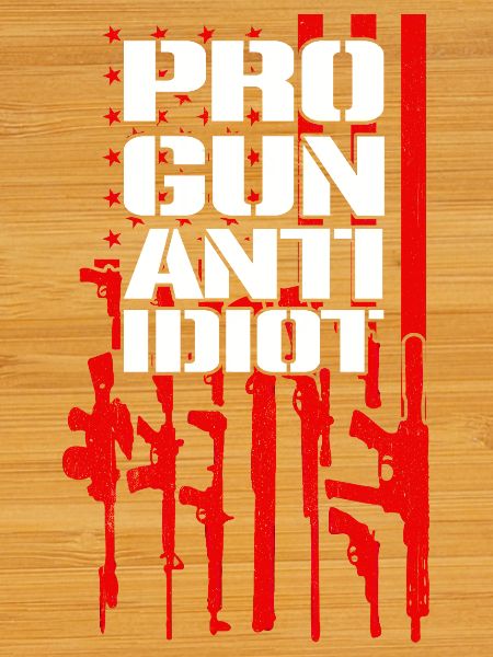 Pro-guns, anti-idiot