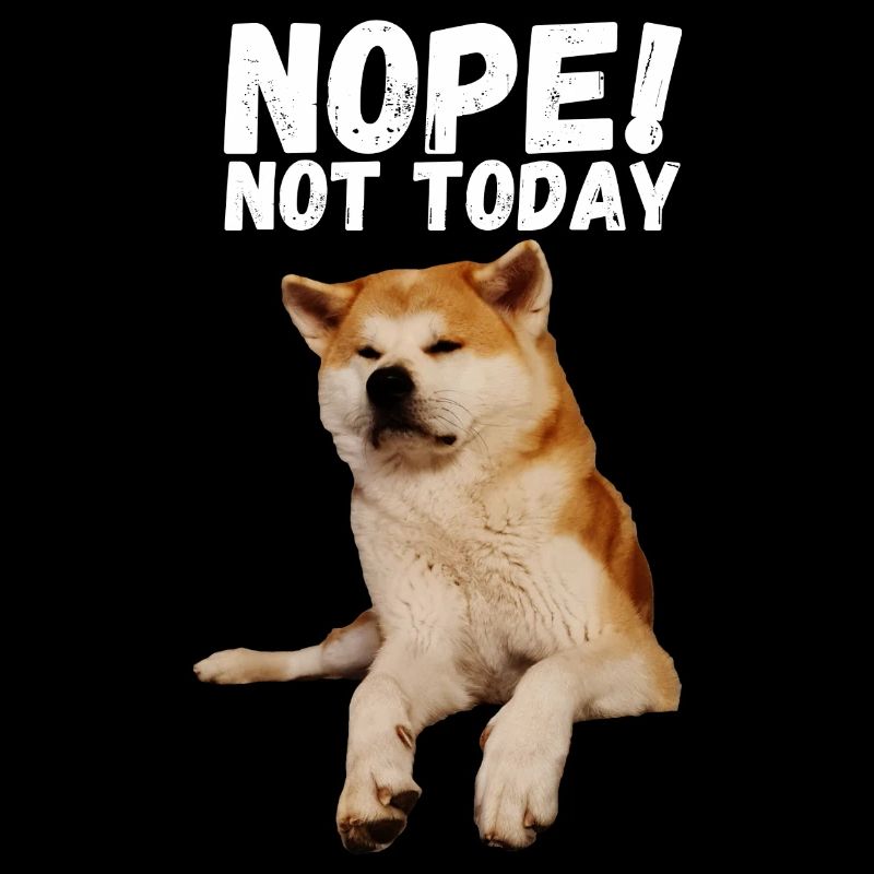 Akita Non, pas aujourd’hui