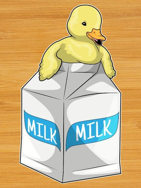 Lait de canard