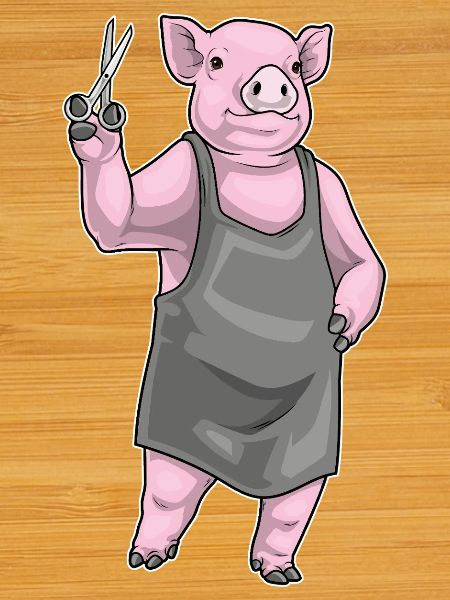Schwein Friseur Schere