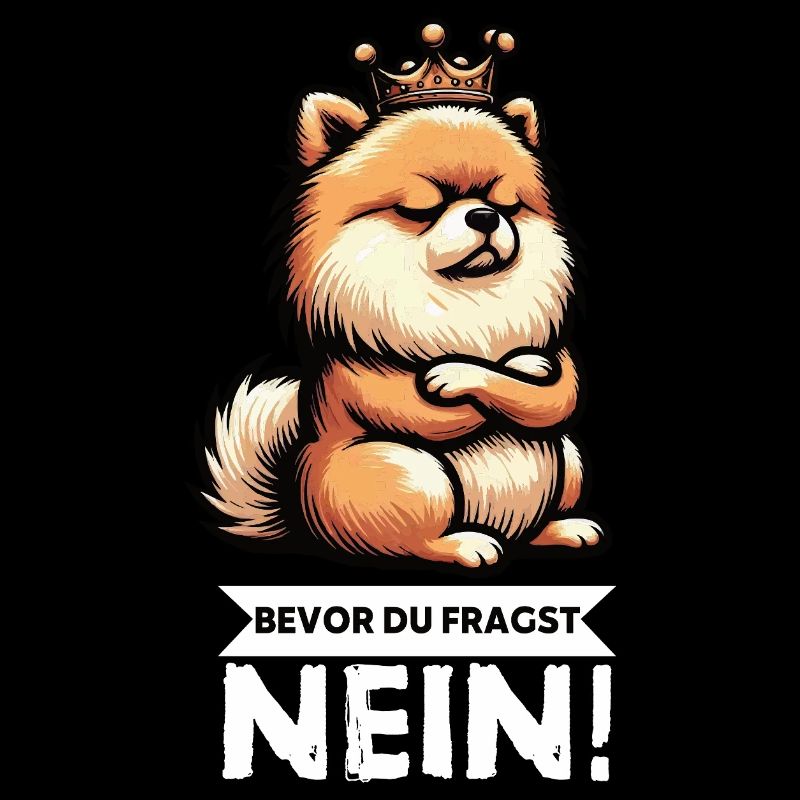Bevor Du Fragst Nein Zwergspitz Zwergspitze Spitz 