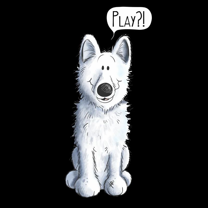Playing White Shepherd - Chien - Chiens