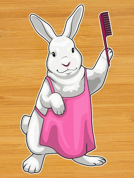 Hase Friseur Kamm