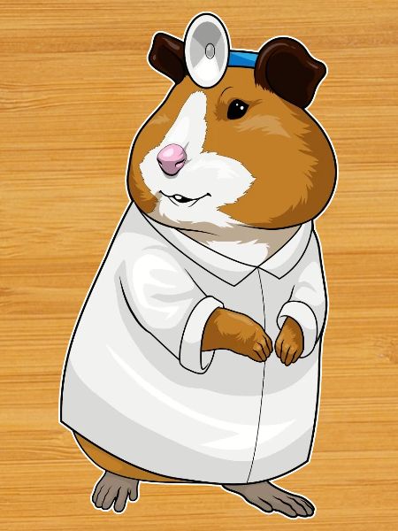 Hamster Arzt Arztkittel