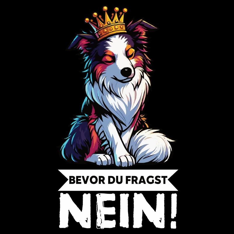 Bevor Du Fragst Australian Shepherd Aussie Aussie