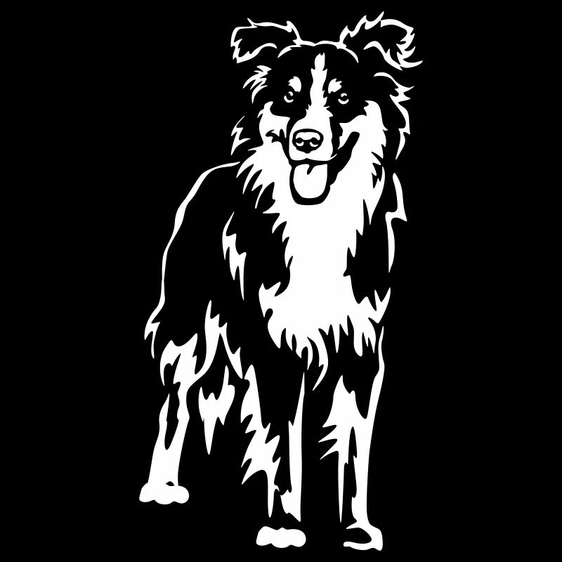 Australian Shepherd "Black Edition"