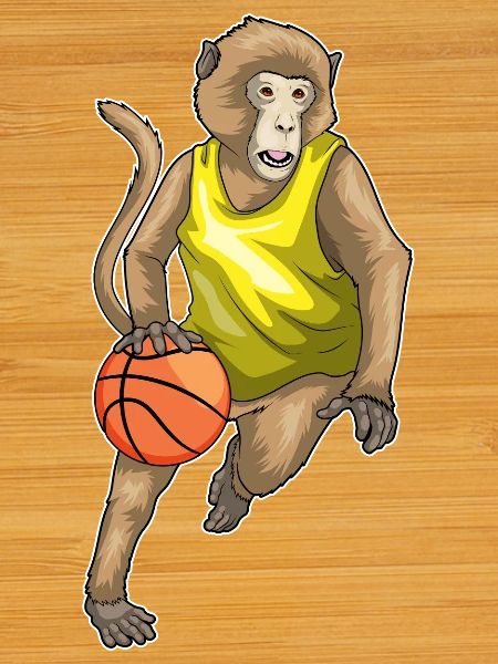 Singe Basketteur Basketteur