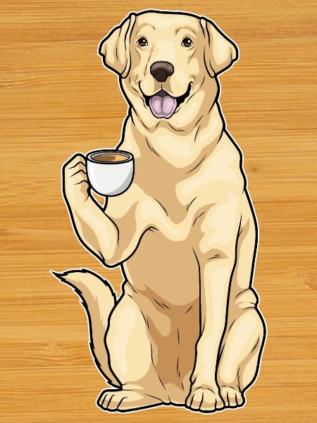 Labrador cup of coffee