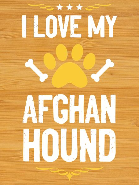 I love my Afghan Hound