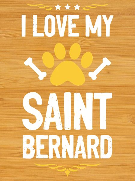 J’aime mon Saint-Bernard