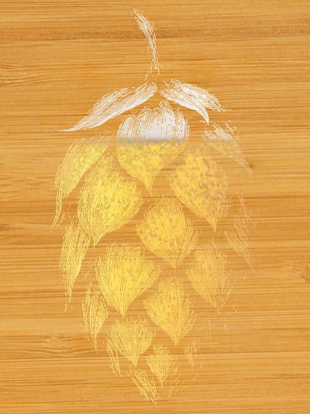 Hopfen