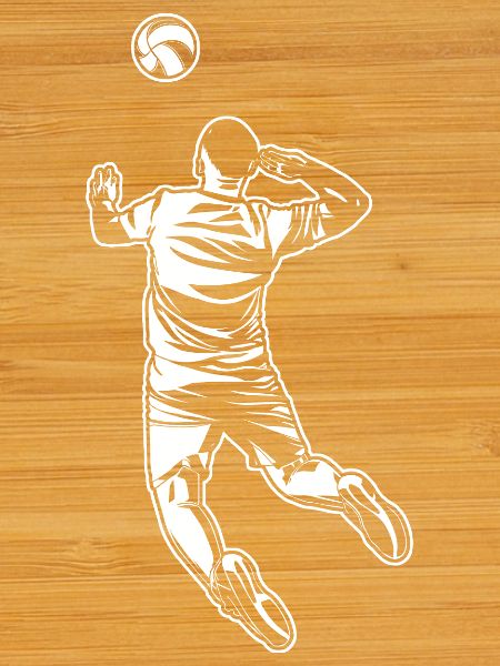 Volleyball player