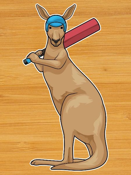 Känguru Cricket Cricketschläger
