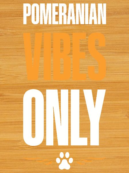 Pomeranian Vibes Only