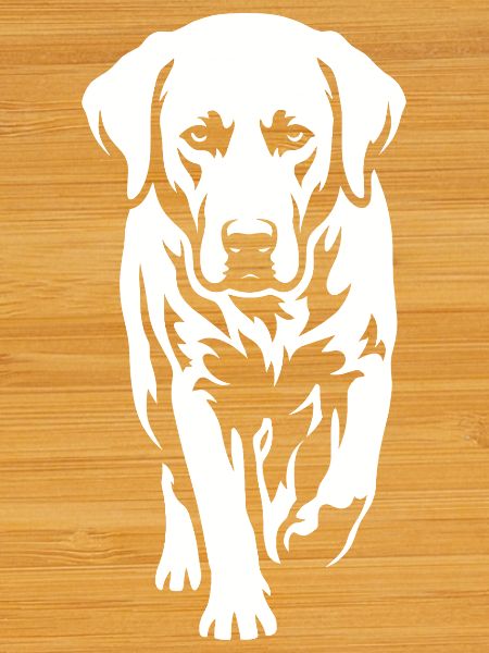 Labrador – Timeless elegance