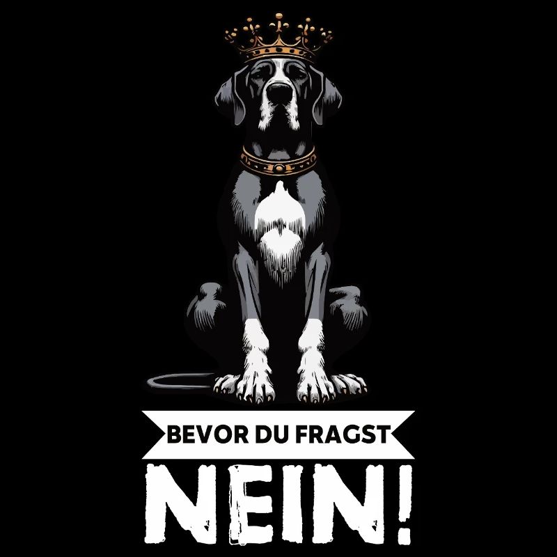 Before you ask Great Dane Great Dane owner