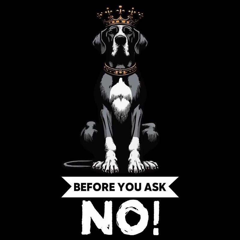 Before You Ask Great Dane Great Dane Owner