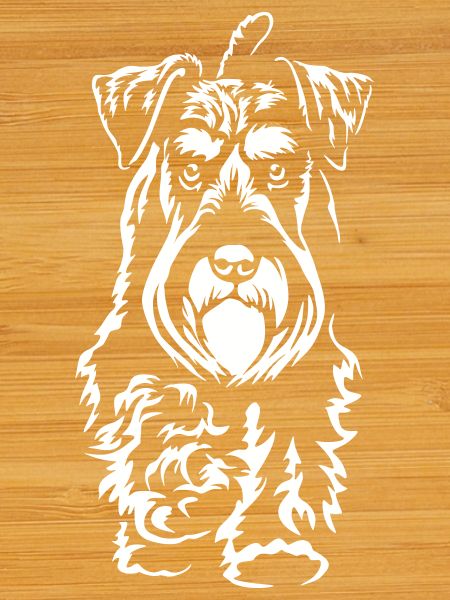 Schnauzer "Black Edition"