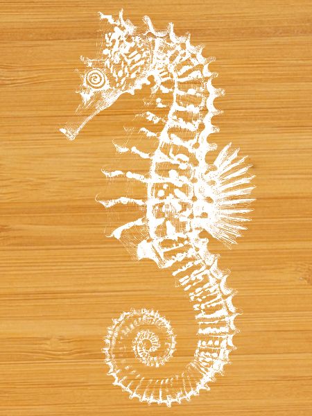 High-Contrast Seahorse Silhouette