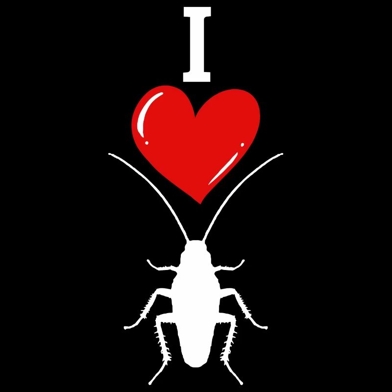 insecte cafard