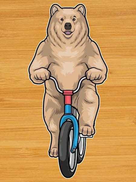 Bear Bicycle