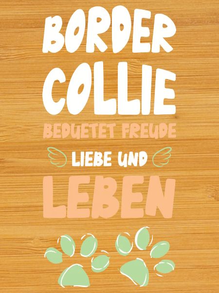 Border Collie Lebensfreude