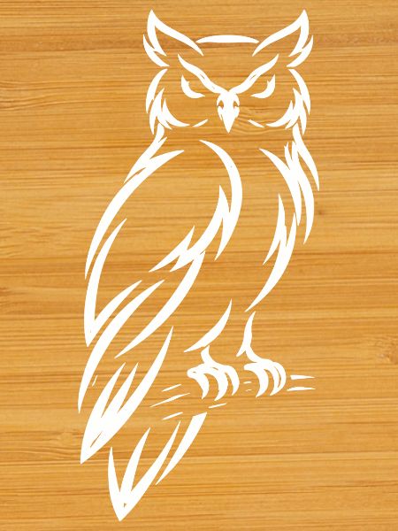 Eule – Mystisches  Natur Design