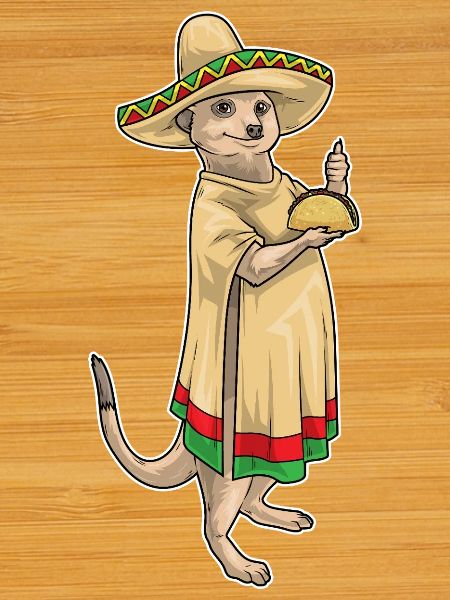 Taco Suricate