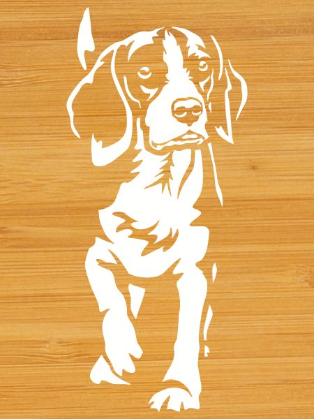 Beagle "Black Edition"