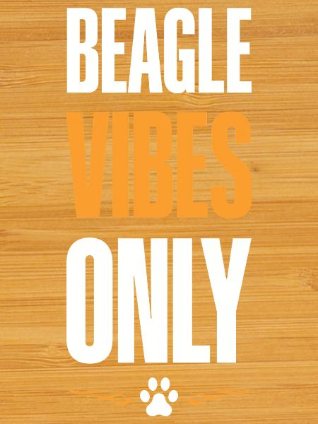Beagle Vibes Only Good Mood