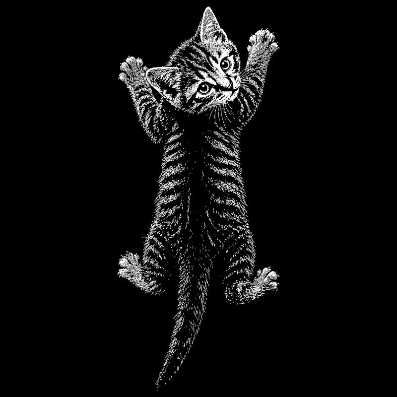 Chaton