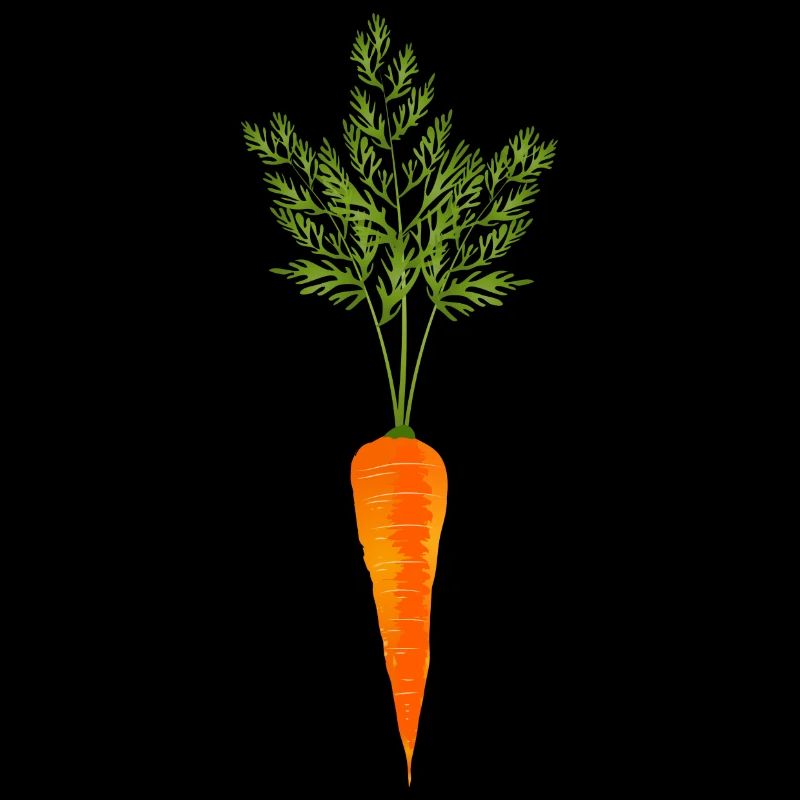 bright orange carrot with green