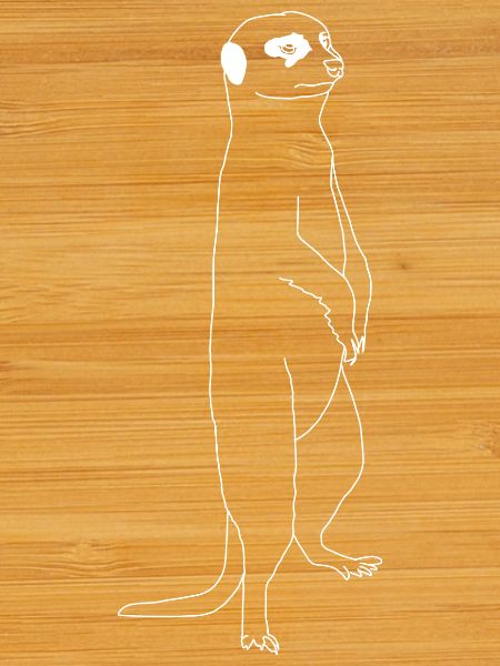 Meerkat lineart