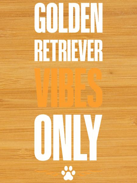 Golden Retriver Vibes Only