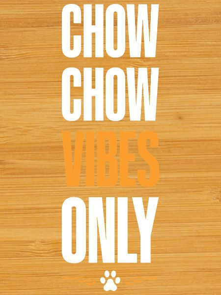 Chow Chow Vibes Only