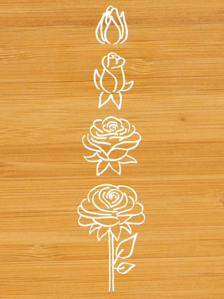 éclosion d'une fleur blanche