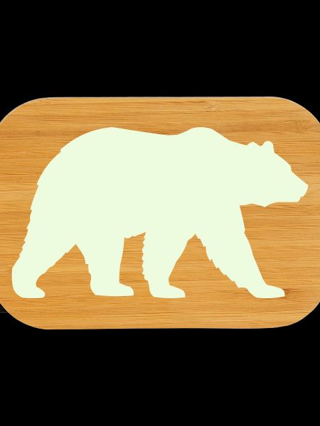 grizzly_baer-