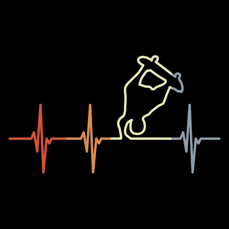 Cardiogramme du Skateboarder
