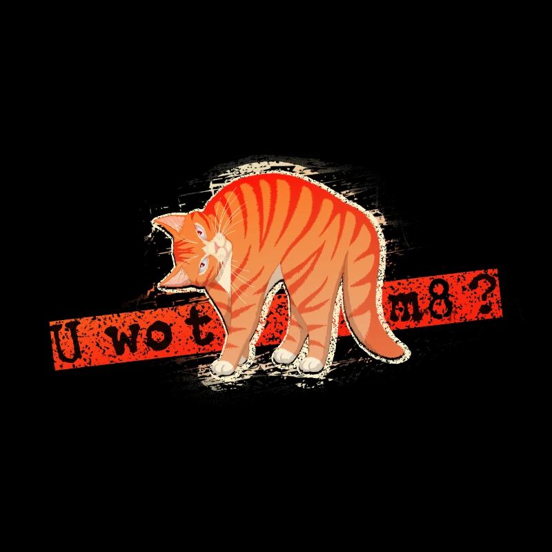 U wot m8 - Chat Orange