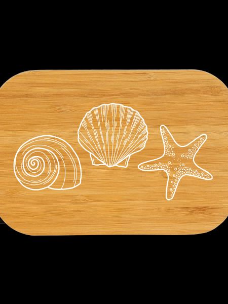 Shell, Starfish, Snail - white