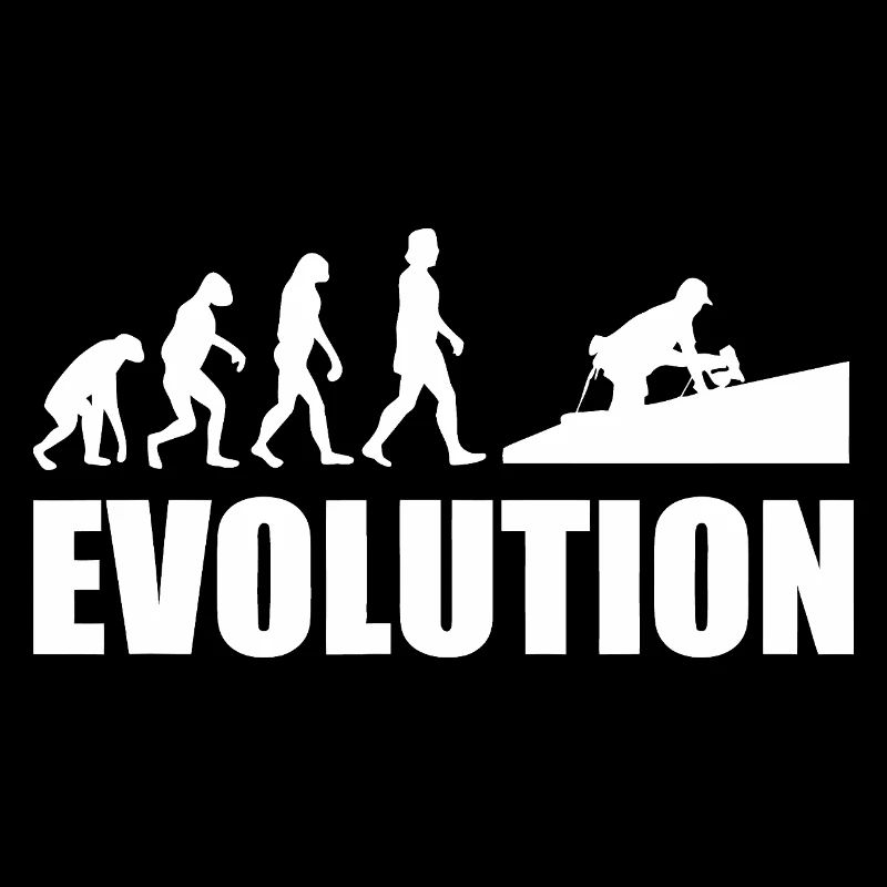 Evolution to Innovation