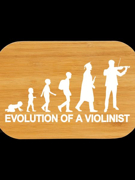 Development of a violinist