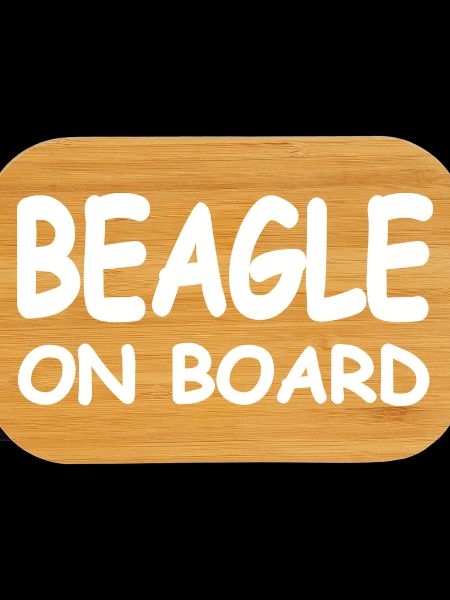 Beagle