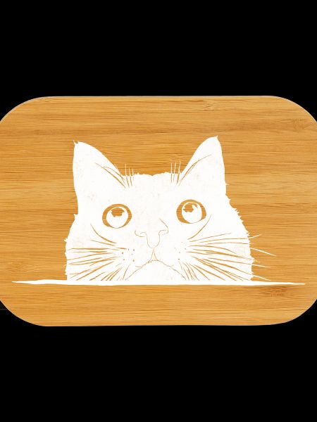 Peeping cat with whiskers