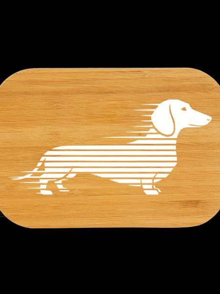 Striped dachshund in the run