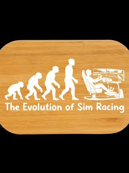Die Evolution des Sim Racings