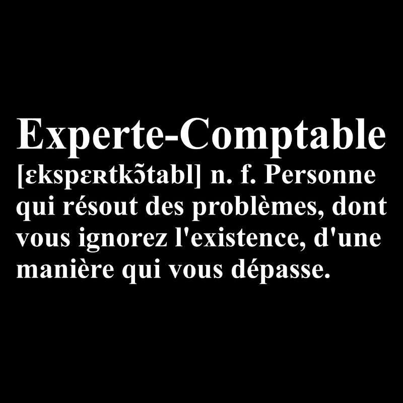 Experte-Comptable Définition