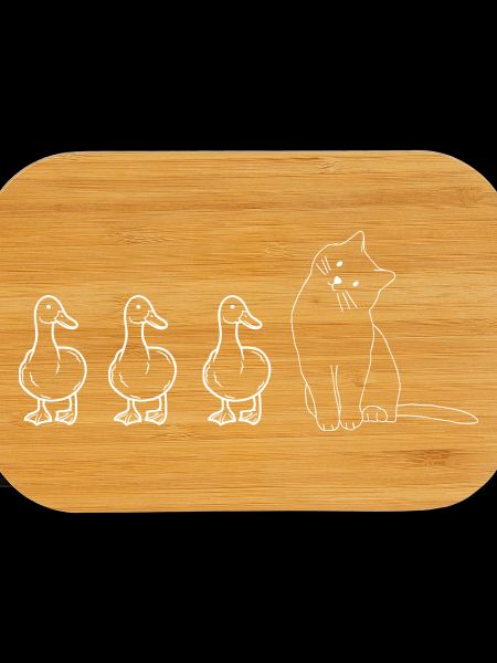 Cute Animals Ducks and Cat